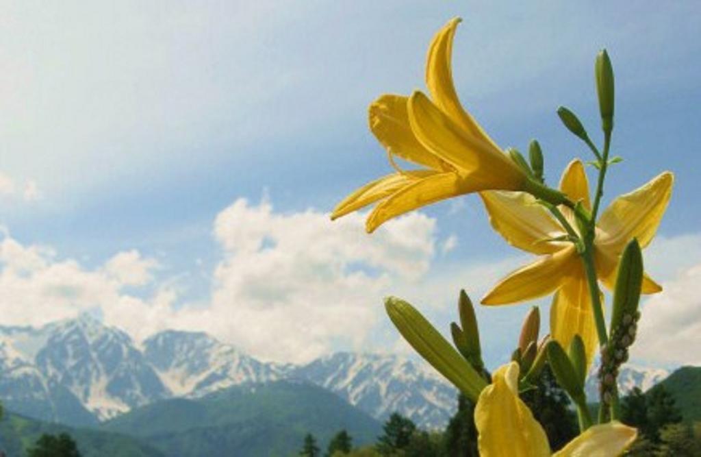Pension Blue Hakuba Dış mekan fotoğraf