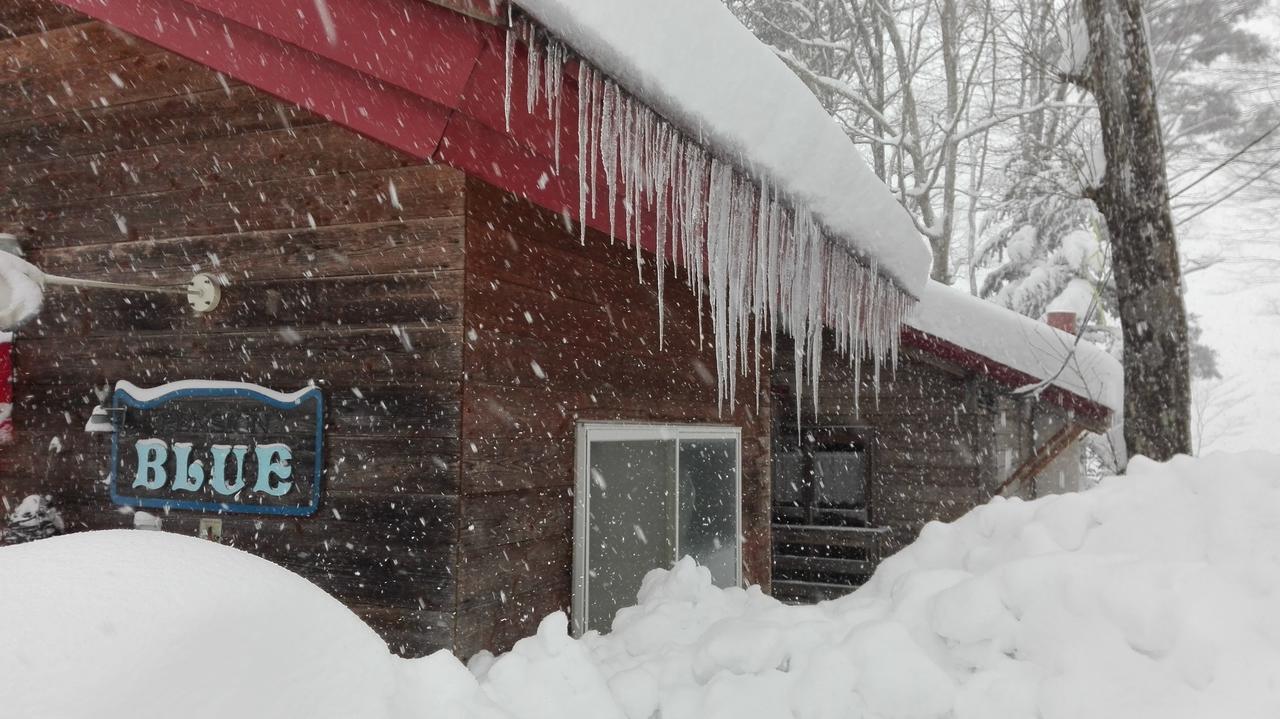 Pension Blue Hakuba Dış mekan fotoğraf