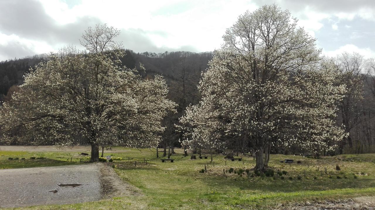 Pension Blue Hakuba Dış mekan fotoğraf
