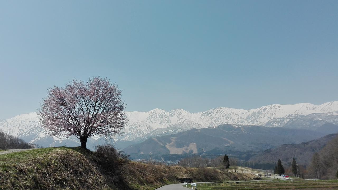 Pension Blue Hakuba Dış mekan fotoğraf